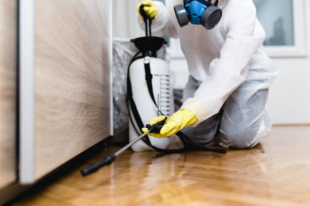 Best Pest Prevention Services  in The Woodlands, TX