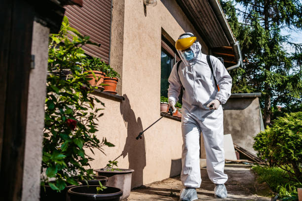Best Affordable Pest Control Services  in The Woodlands, TX