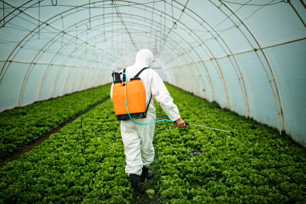 Best Pest Removal Services  in The Woodlands, TX