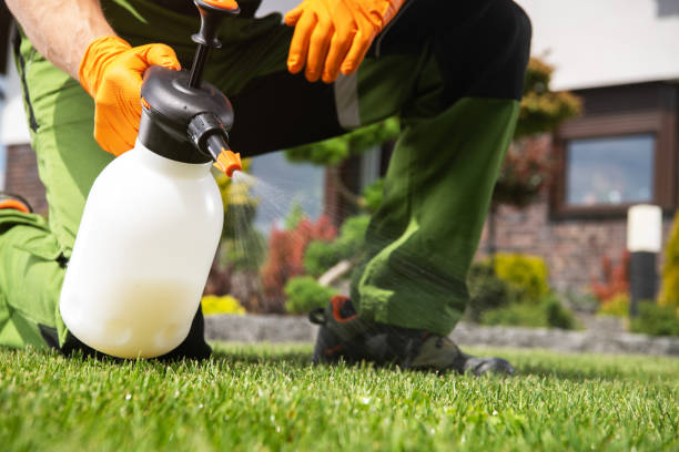 Best Termite Control Services  in The Woodlands, TX