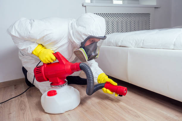 Best Flea Control Services  in The Woodlands, TX
