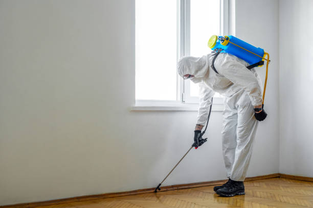 Best Pest Control Treatment  in The Woodlands, TX