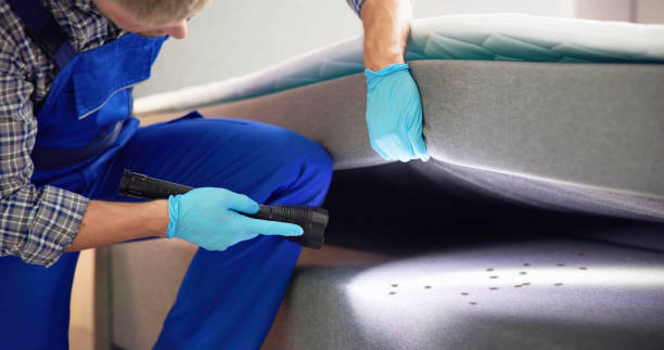 Best Ant Control Services  in The Woodlands, TX