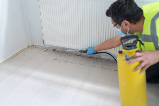 Best Mosquito Control Services  in The Woodlands, TX
